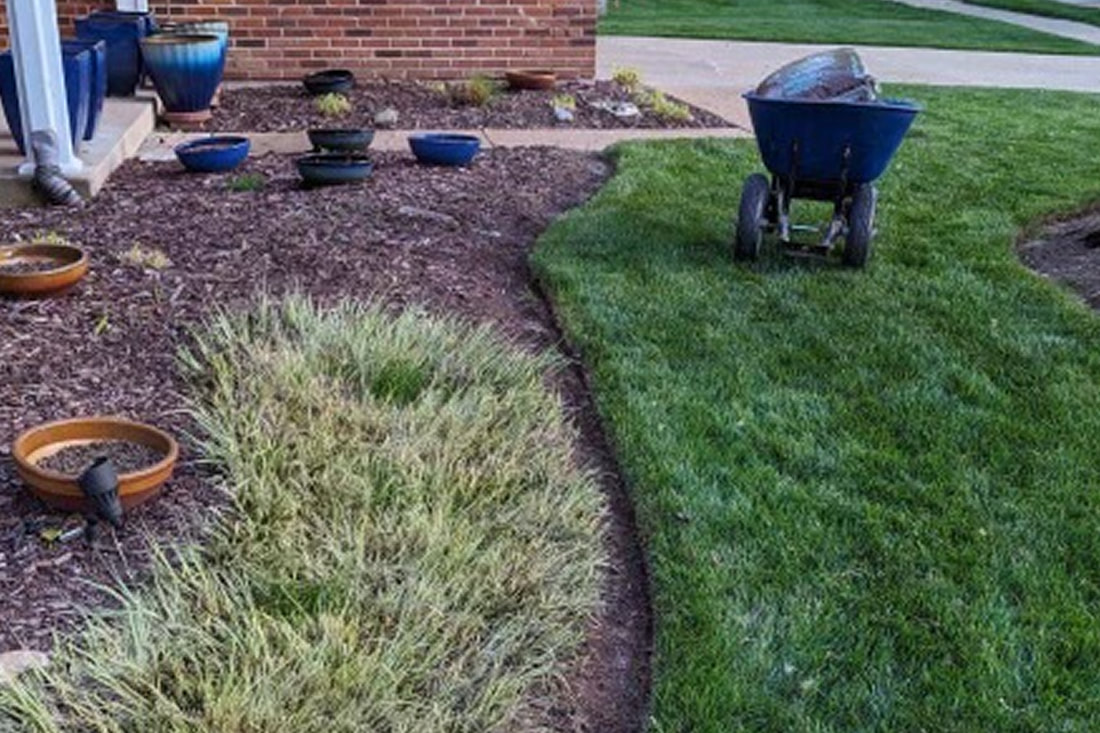 Lawn Care Service In St. Louis, MO
